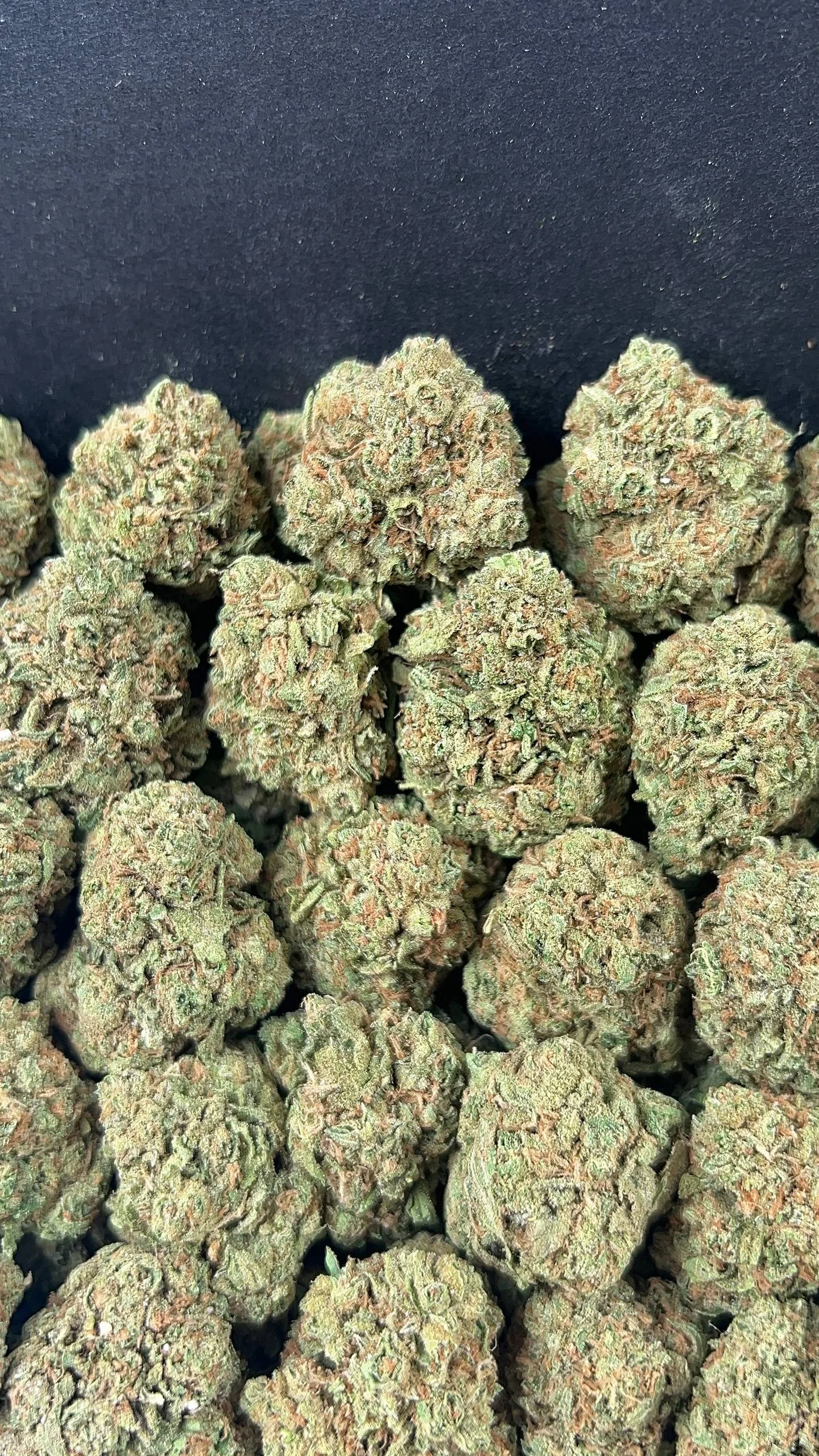 Candyland