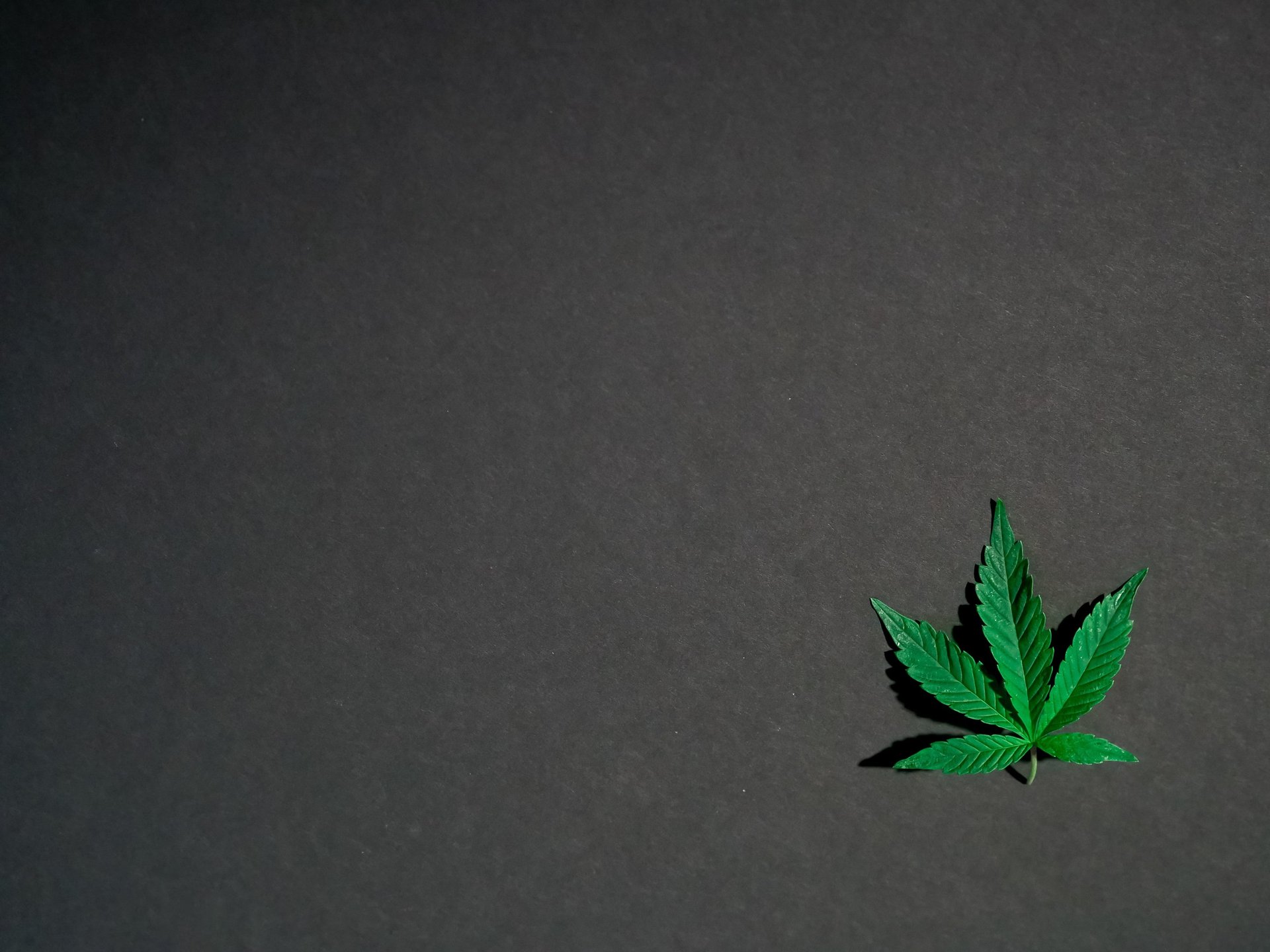Premium hemp flower